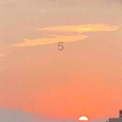 和喜欢的人送花，为什么？游戏画面